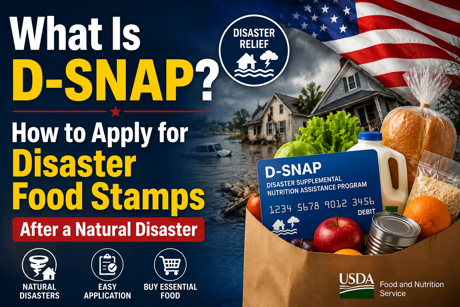 What Is D-SNAP